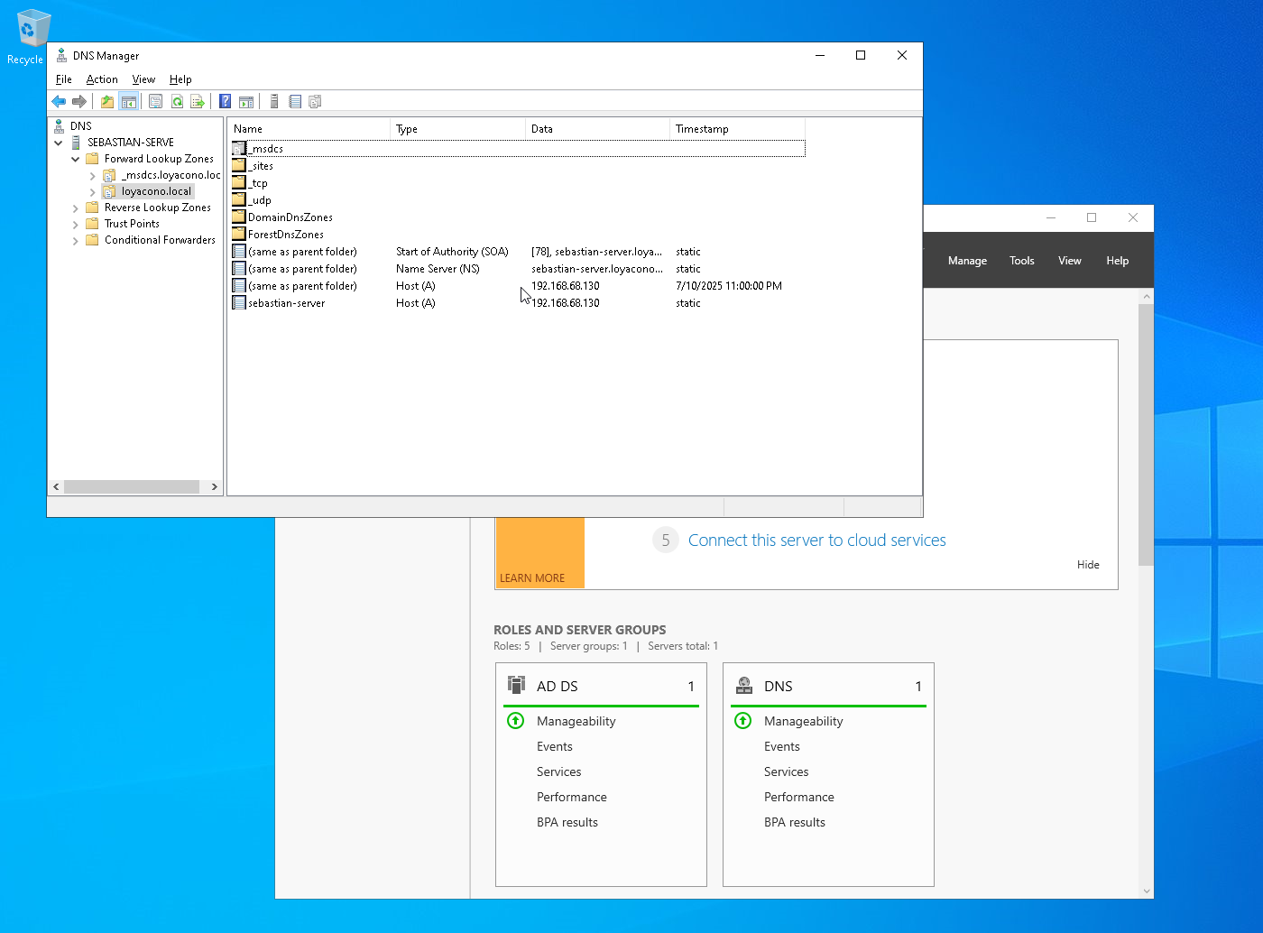 DNS Manager